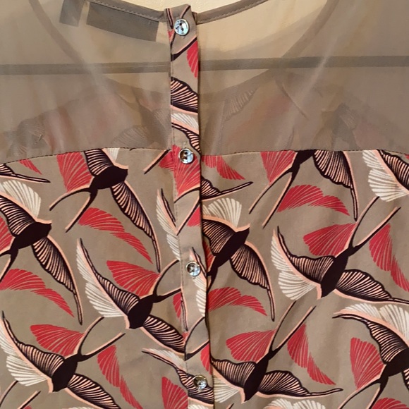 Apt 9 gorgeous sheer bird motif shell. Unique back - Picture 6 of 8